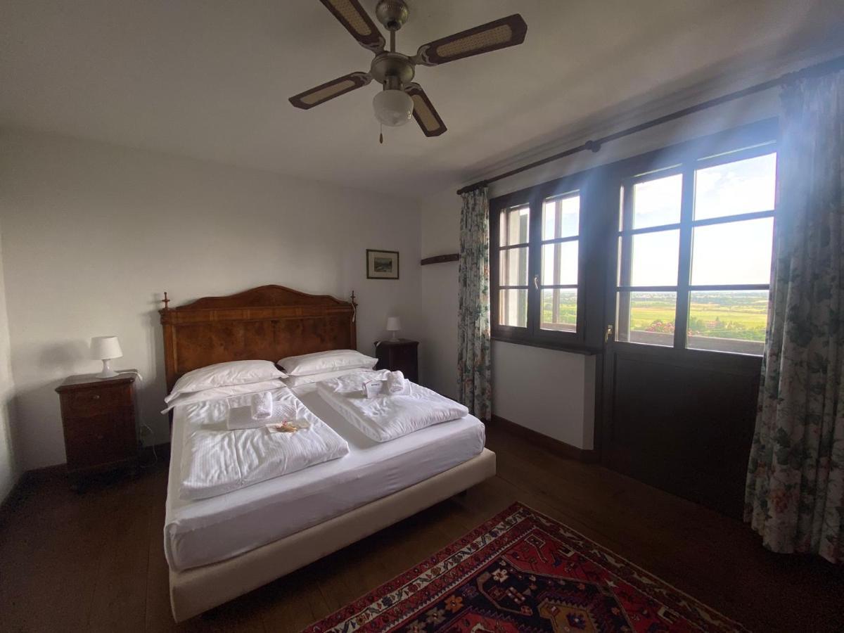 Agriturismo Scacciapensieri Buttrio المظهر الخارجي الصورة
